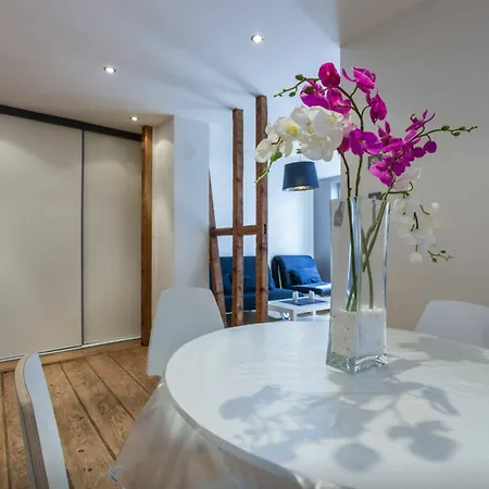 Quai Des Bateliers Appartement